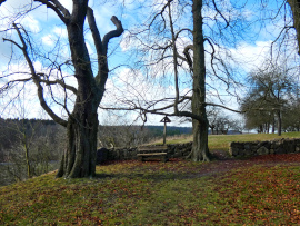 Burg Stargard Norbert Lehmann